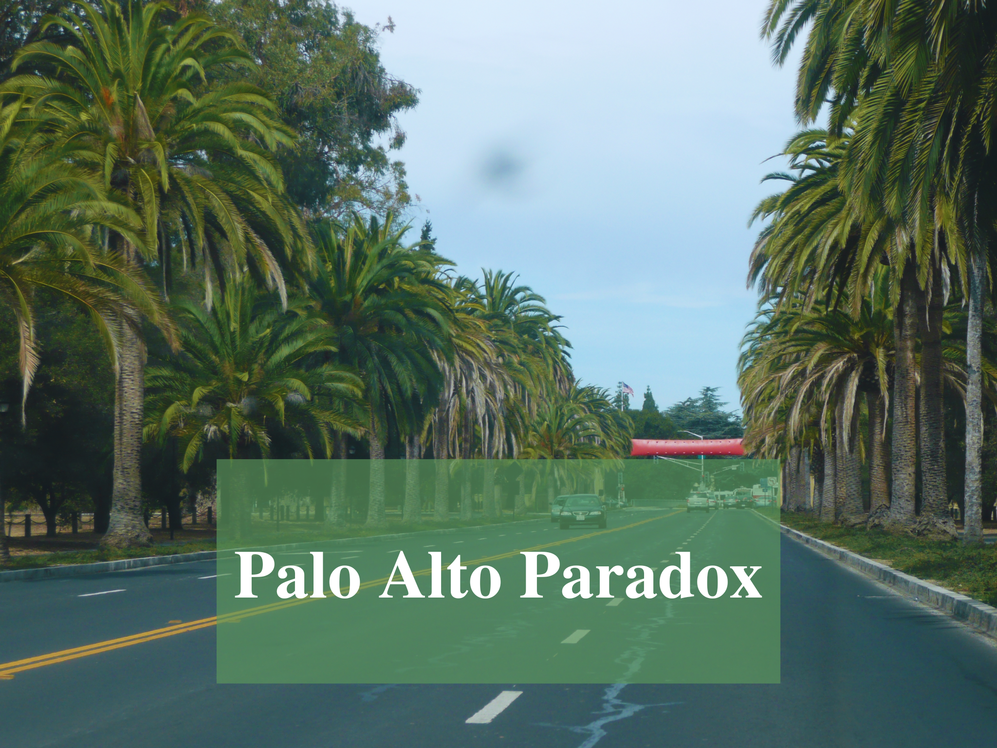 Palo Alto Paradox - Gaypooler Consulting